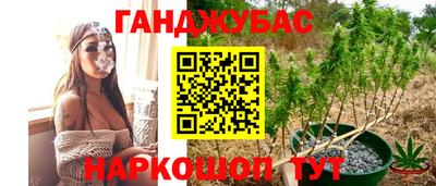 PSILOCYBIN Ярославль
