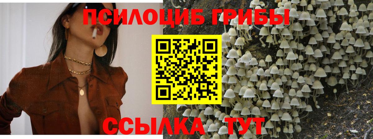 Псилоцибиновые грибы мухоморы Елец
